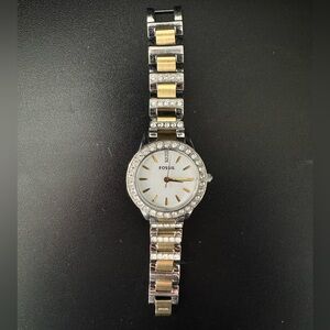 ⚠️Fossil Watch⚠️